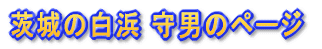 ̔l j̃y[W