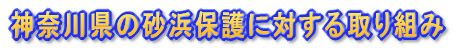 _ސ쌧̍lیɑ΂g